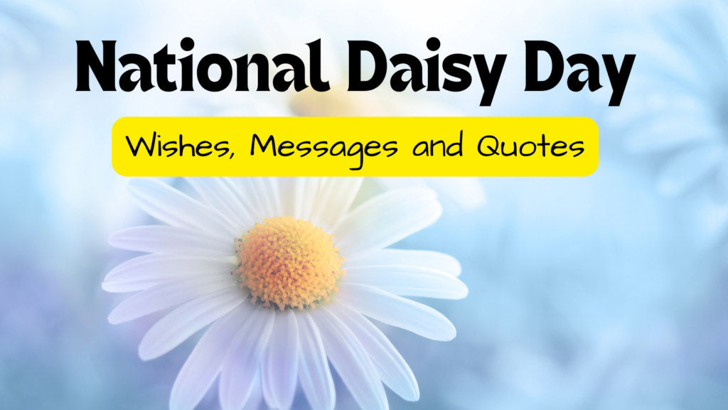 National Daisy Day: Heartfelt Wishes, Messages, and Quotes - WishWhispers
