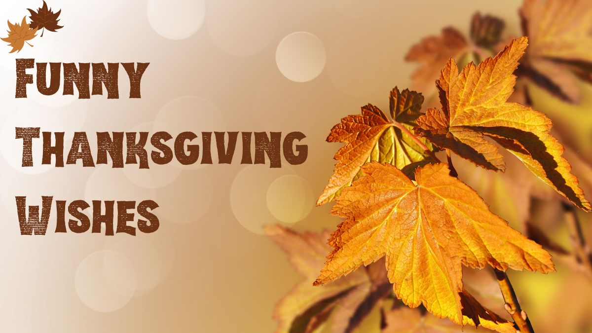 100+ Funny Thanksgiving Wishes to Share with Family and Friends